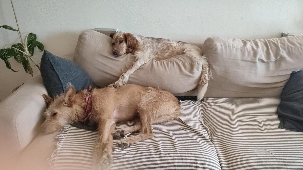 Lovely Bedroom In אלג'זור מראה חיצוני תמונה